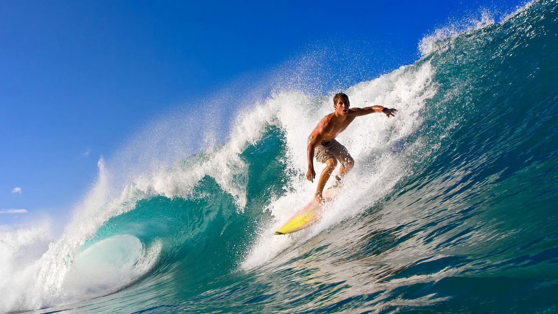 九游官网下载电脑版-体育新闻中心国际赛事走向，国内体育新闻报道